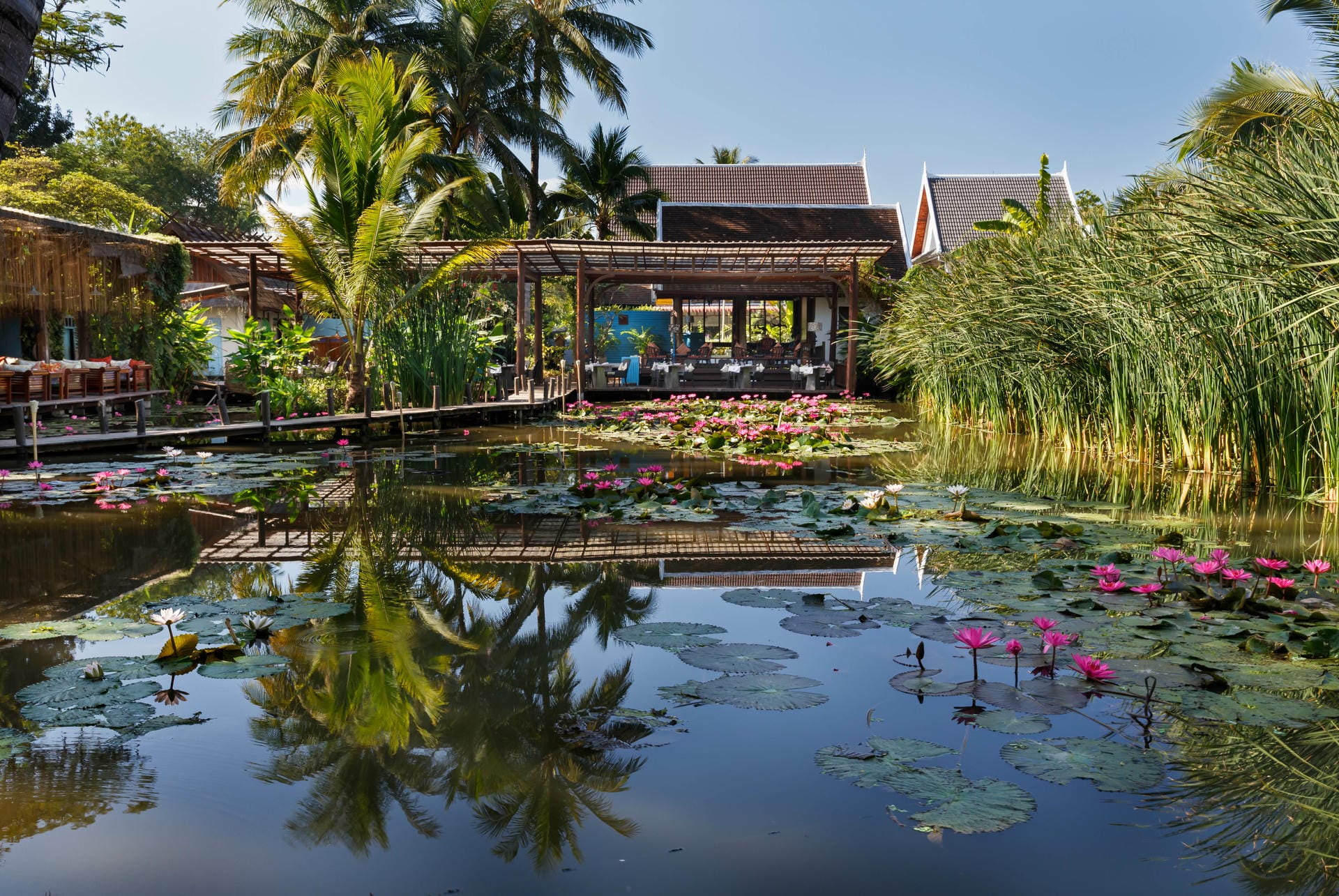 The lily ponds at the heart of the family's ancestral land